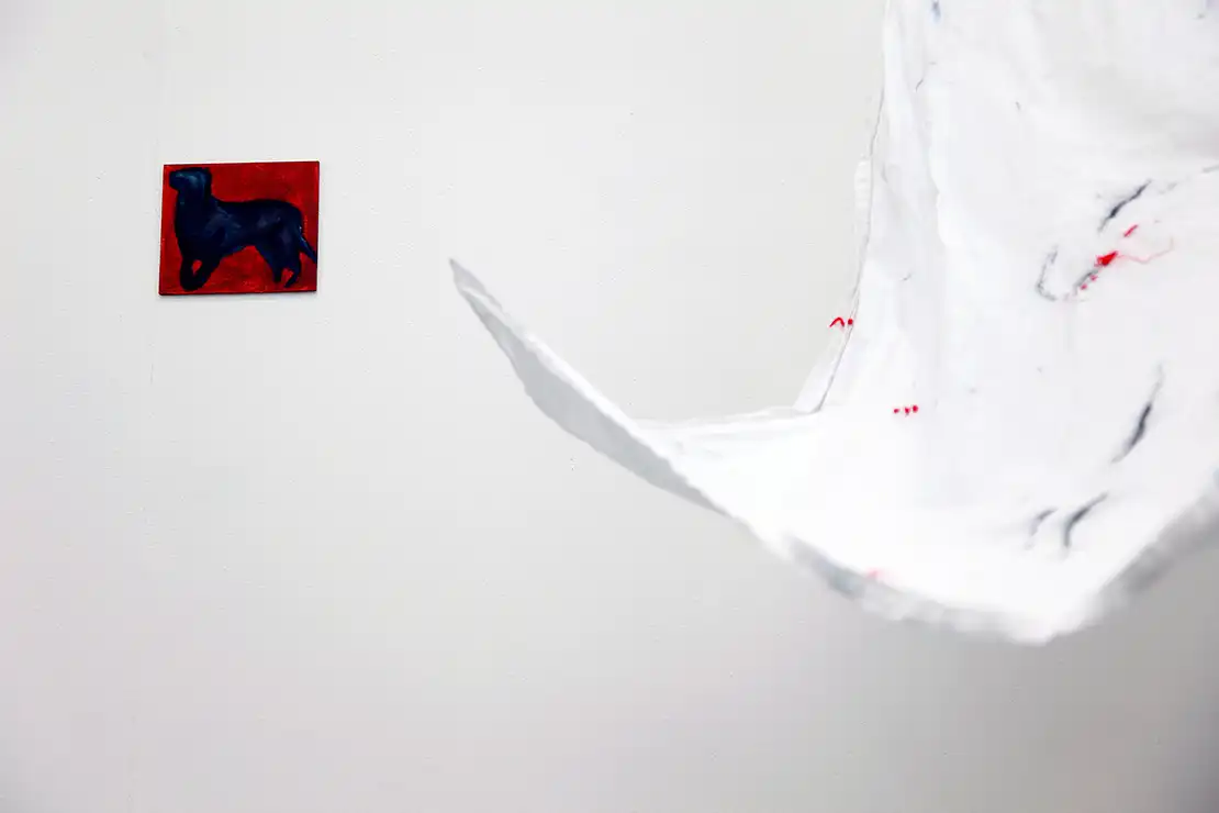 14 slide